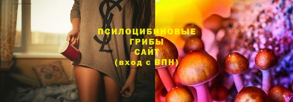 ГАЛЛЮЦИНОГЕННЫЕ ГРИБЫ Володарск