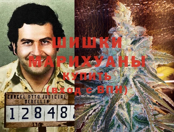 ГАЛЛЮЦИНОГЕННЫЕ ГРИБЫ Володарск